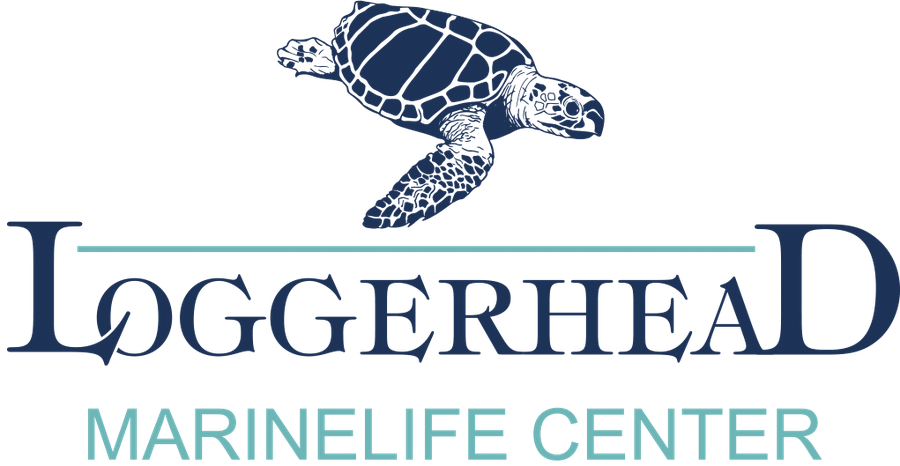 Loggerhead Marinelife Center logo